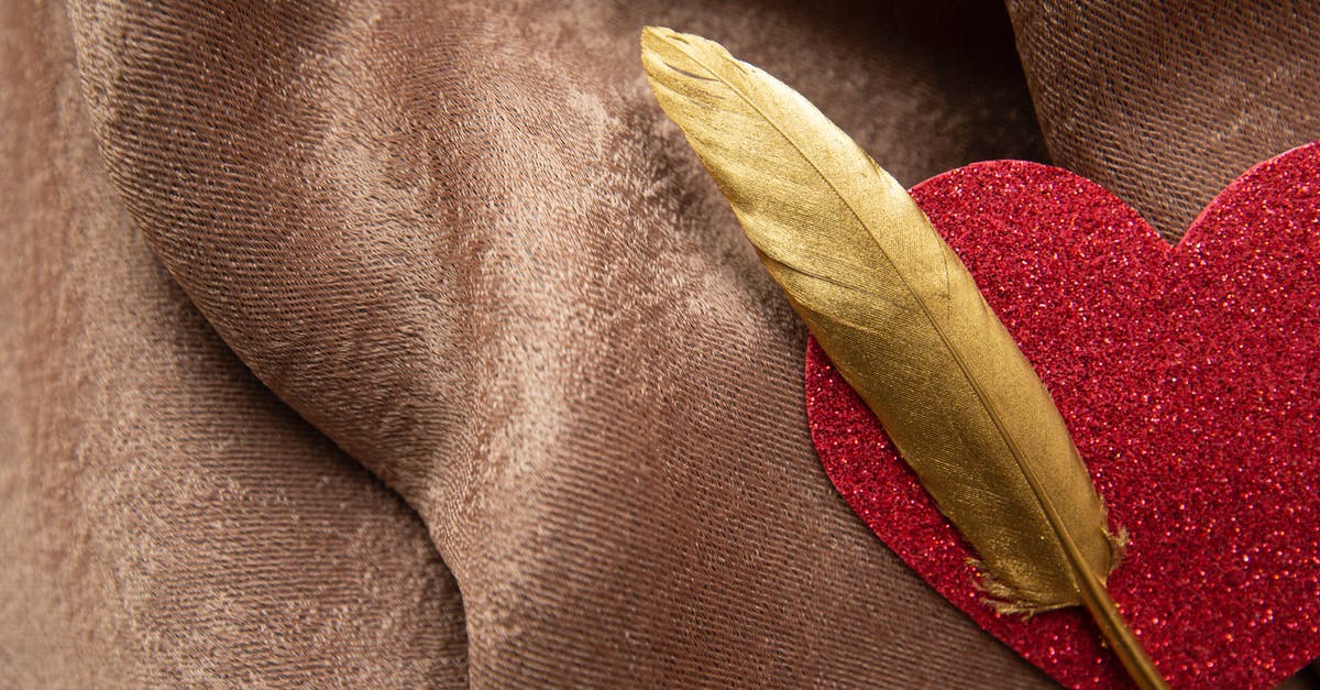 Beef: Red on the outside, brown on the inside - Top view of shiny decorative red heart with long golden feather placed on soft brown plaid during festive event celebration