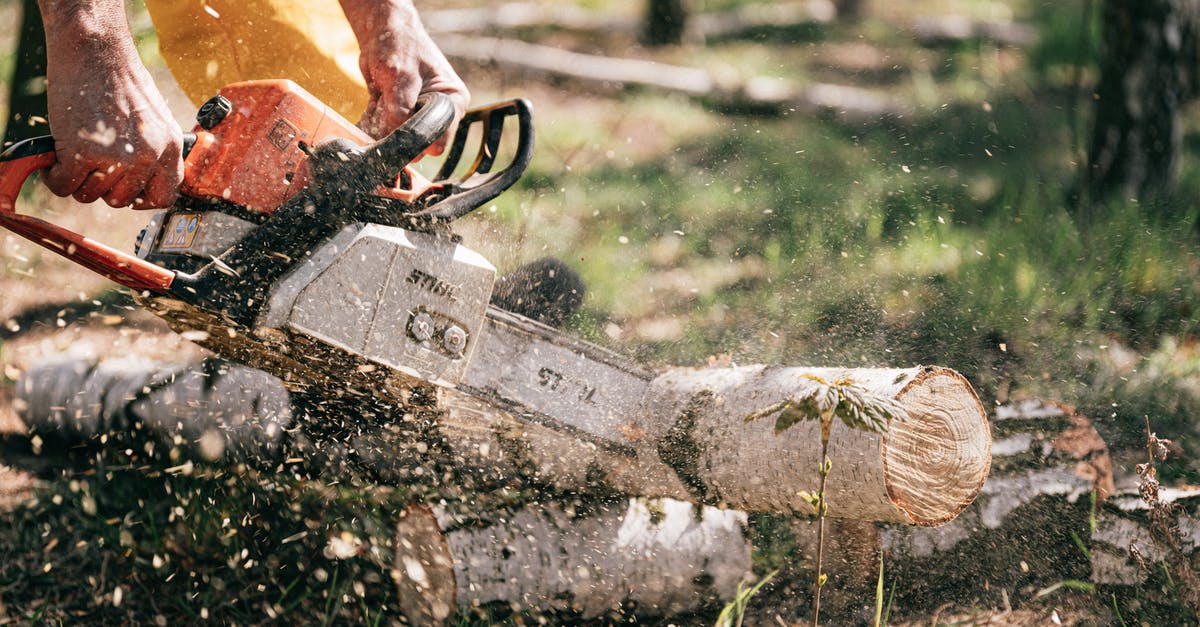 Best tool for quickly cutting vegetables into a salad? - Person Holding Chainsaw