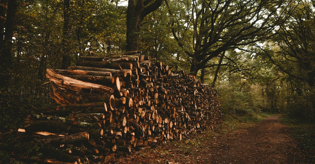 Best way to chop an onion? [duplicate] - Green forest with felled trees