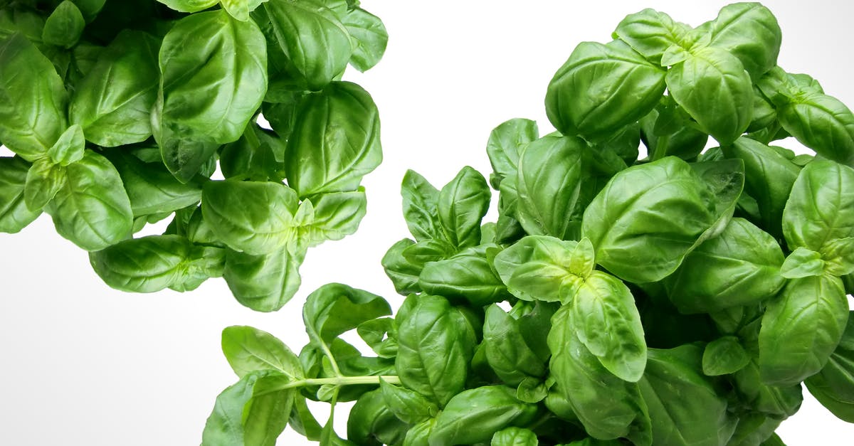 best way to keep fresh basil leaves? [duplicate] - Green Leaf Plant