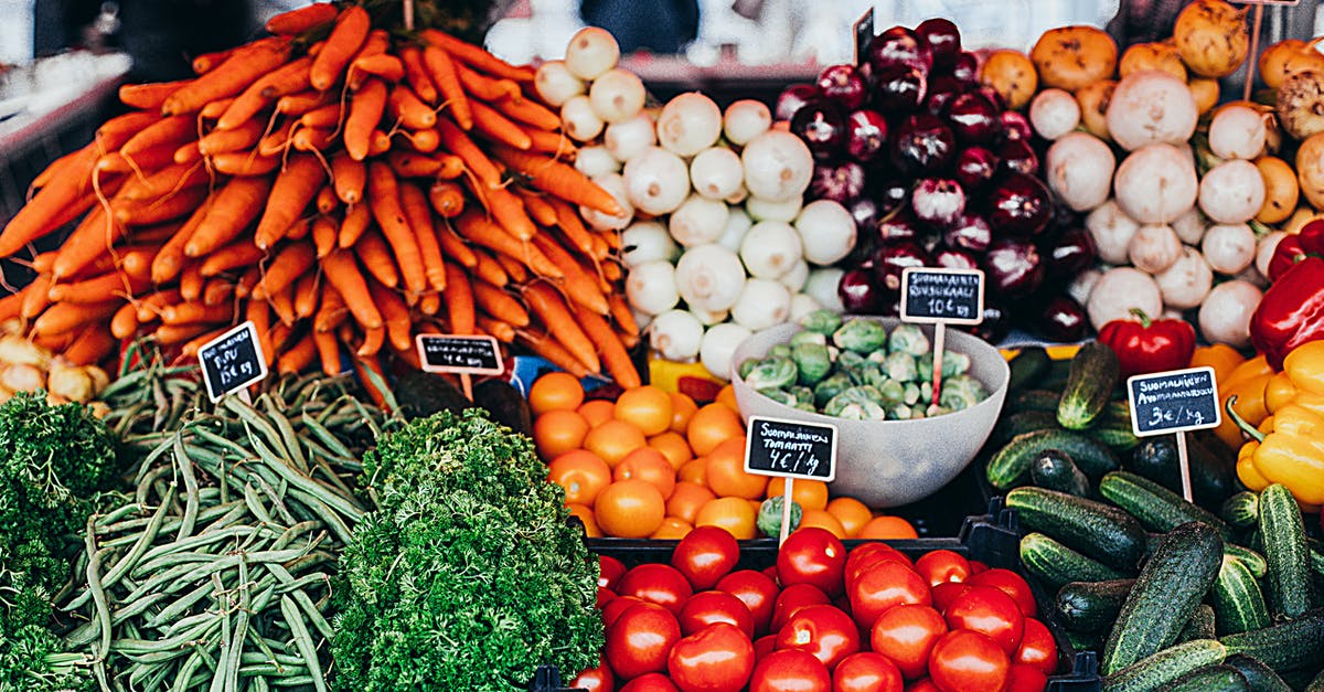 Best way to preserve nutrients while dehydrating fruit and veggies - Variety Of Vegetables On Display