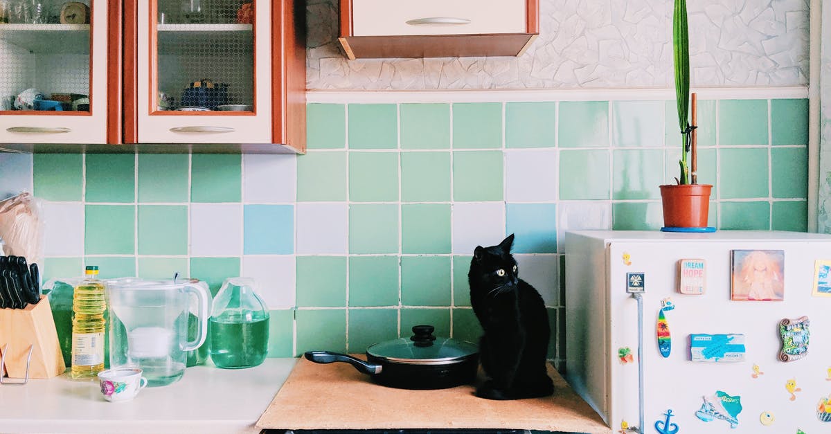 Black residue inside frying pan - Cat sitting on stove in kitchen with cupboards