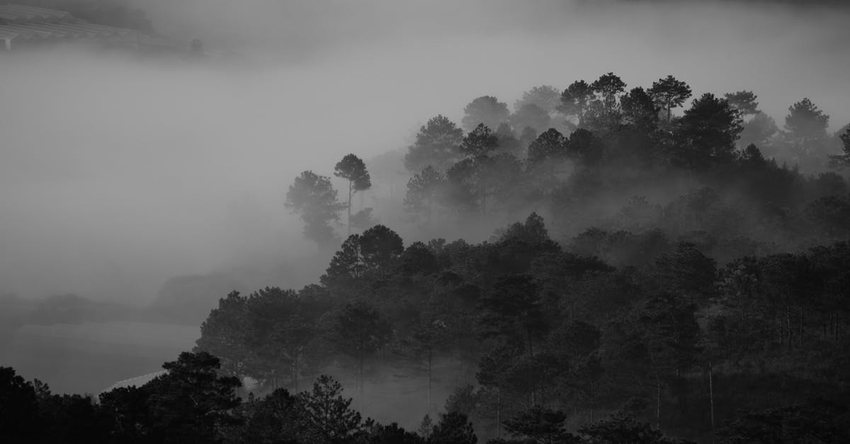 Black tea develops cloudy dregs; how to avoid? - Grayscale Photography of Trees