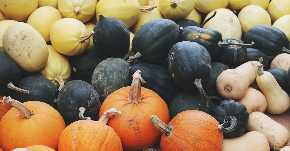 Blanching time for different vegetables - Squash Lot