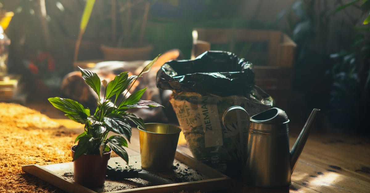 blending smoothies in a metal pot - will the vitamins go away? - A Green Plant on a Wooden Box Near a Watering Can