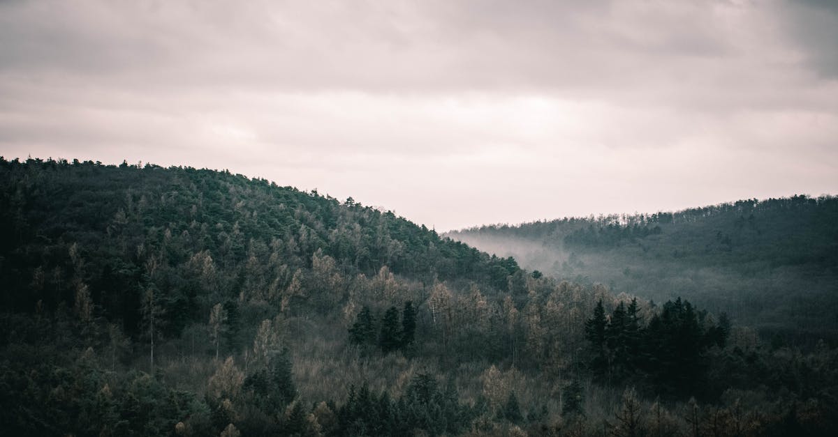 Bonbons are a mystery - Green Trees Under White Clouds