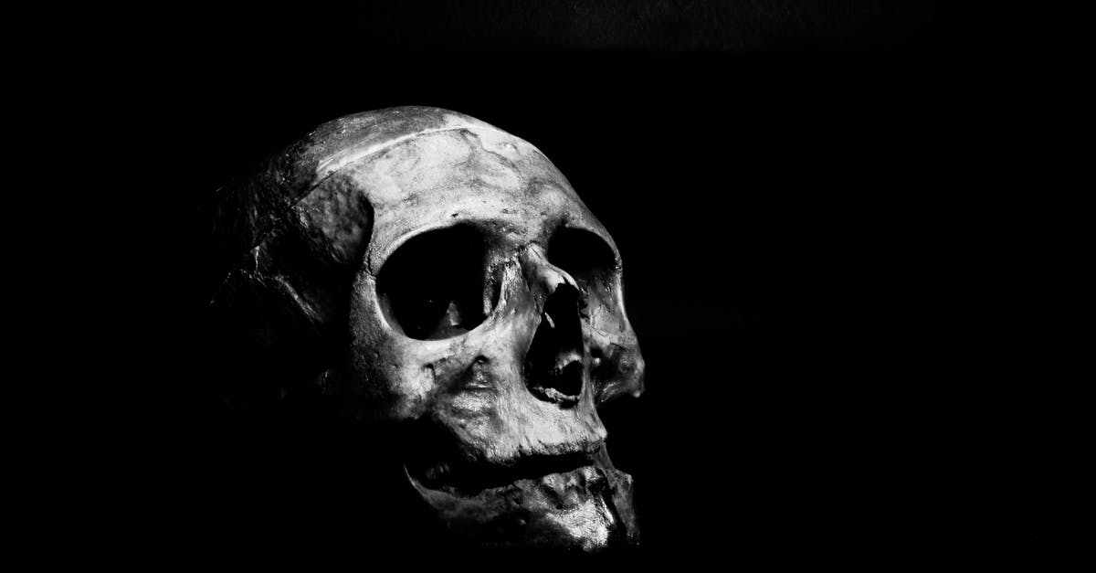 Bone broth question - Grayscale Photography of Human Skull