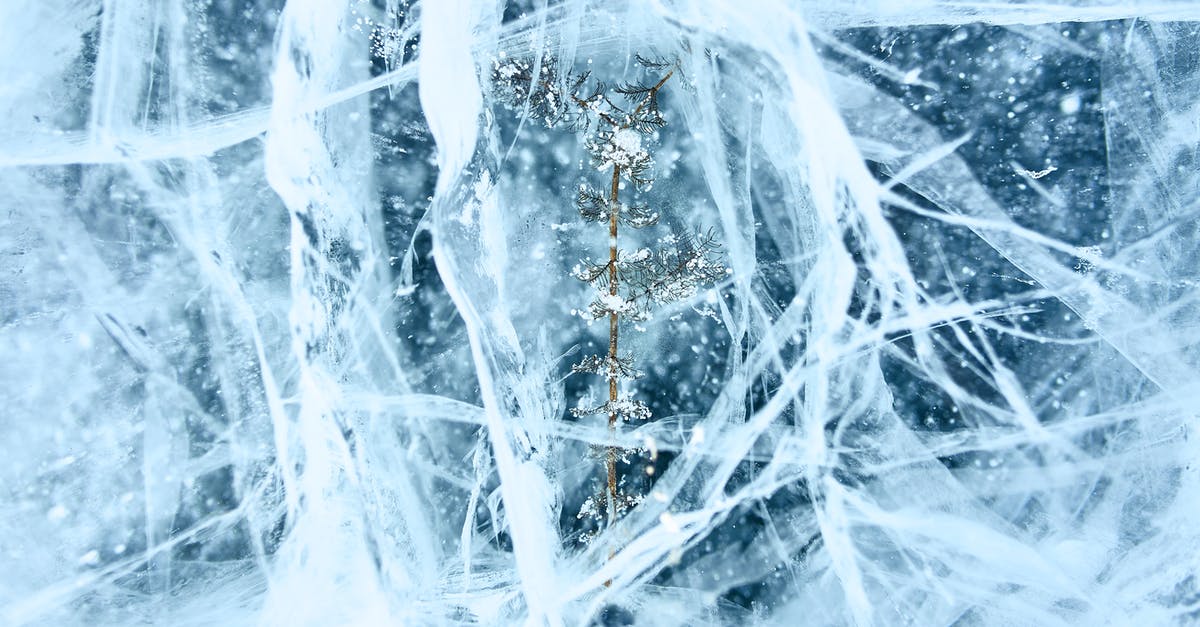 Boneless Frozen Lamb Roast [closed] - Free stock photo of abstract, blue, bright