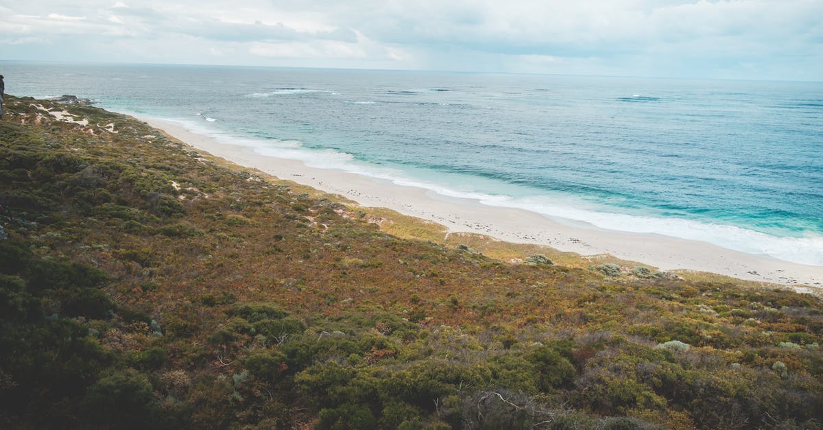 Bread is too moist in a humid climate - Coast with sand covered with verdant bushes and moss washed by wavy blue ocean