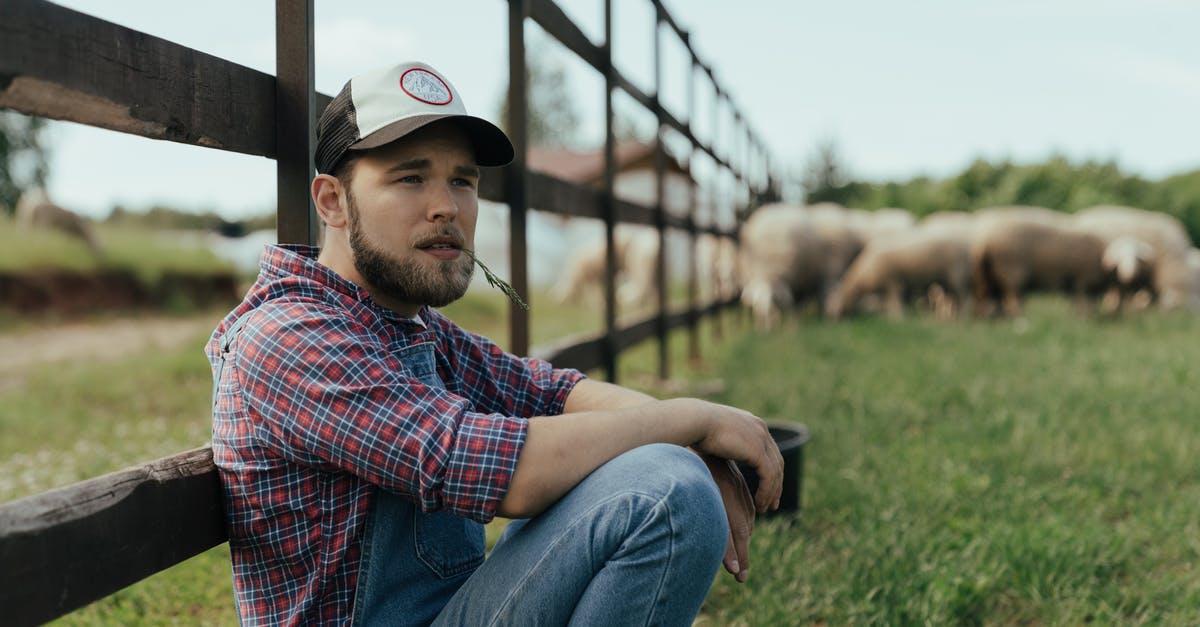 Breaking down a lamb "square shoulder" - Man in Red Blue and White Plaid Dress Shirt and Blue Denim Jeans Sitting on Green