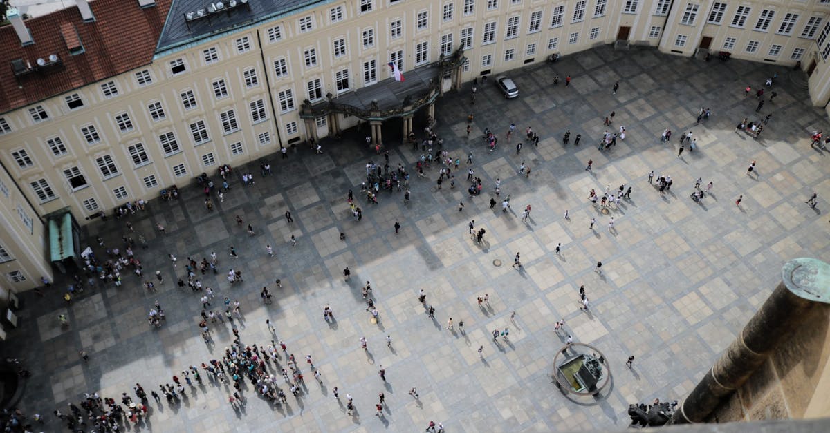 Breaking down a lamb "square shoulder" - From above of travelers on square in front of aged vintage panoramic exploring sightseeing and studying place in daylight