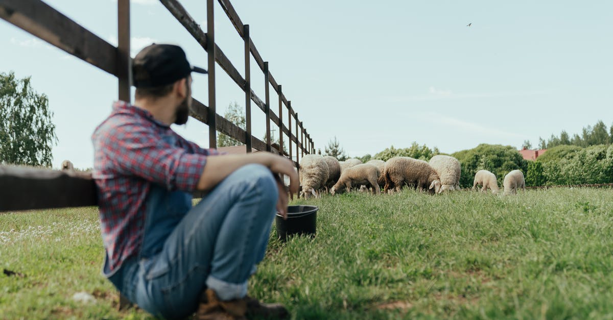 Breaking down a lamb "square shoulder" - Man in Blue Denim Jeans Sitting on Brown Wooden Bench