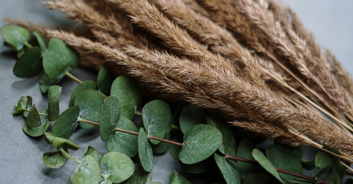 Brioche bread texture - Green Leaves on Brown Rope