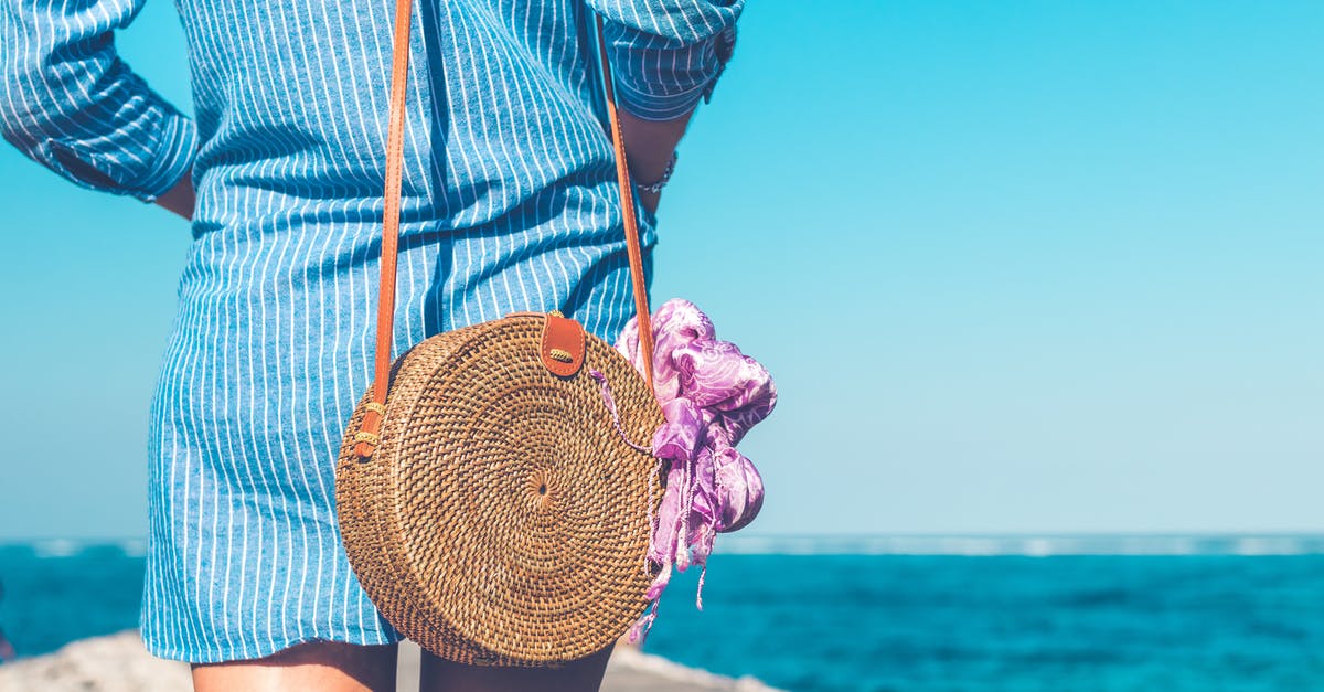 Broad bean water went brown overnight - Woman Wearing Blue and White Striped Dress With Brown Rattan Crossbody Bag Near Ocean