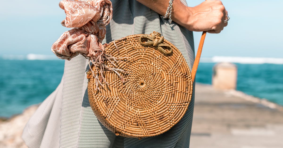 Broad bean water went brown overnight - Woman Wearing Grey Skirt and Round Brown Rattan Crossbody Bag on Wooden Dock Near Body of Water