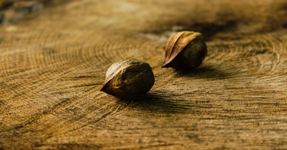 Brown pods from tree like Carob okay to eat raw? [closed] - Small brown raw nuts in shell placed together on stump in forest