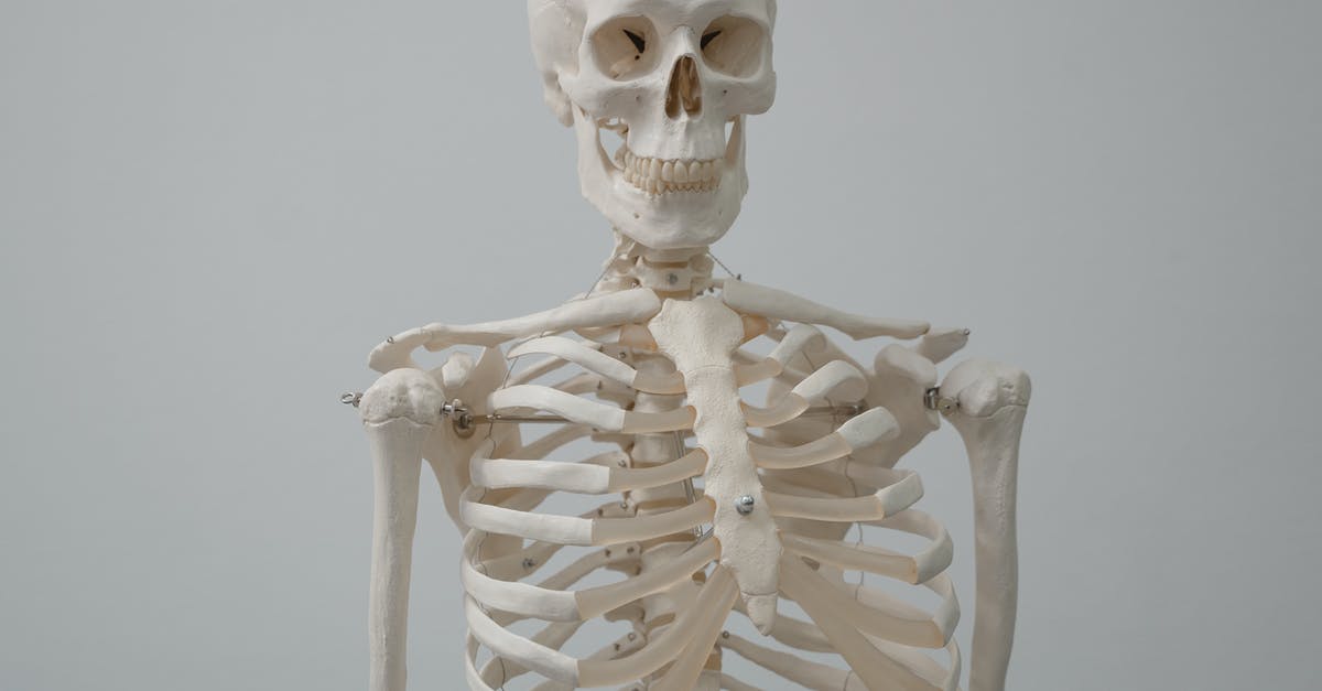 Browning bones in a skillet - Human Skeleton Model