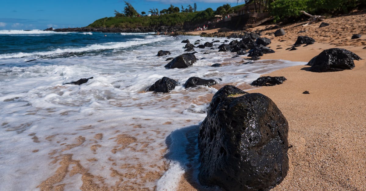 Butter burns when pan searing mahi mahi - Rocks On Seashore