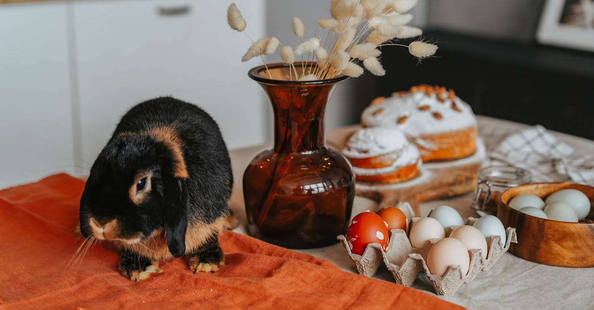 cake smells bad of egg, is dense and rubbery - An Eater Bunny on the Table