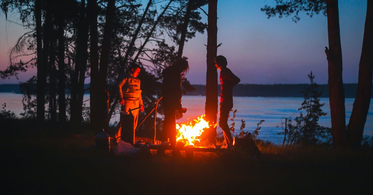 Camping with tofu - People Standing Near Bonfire