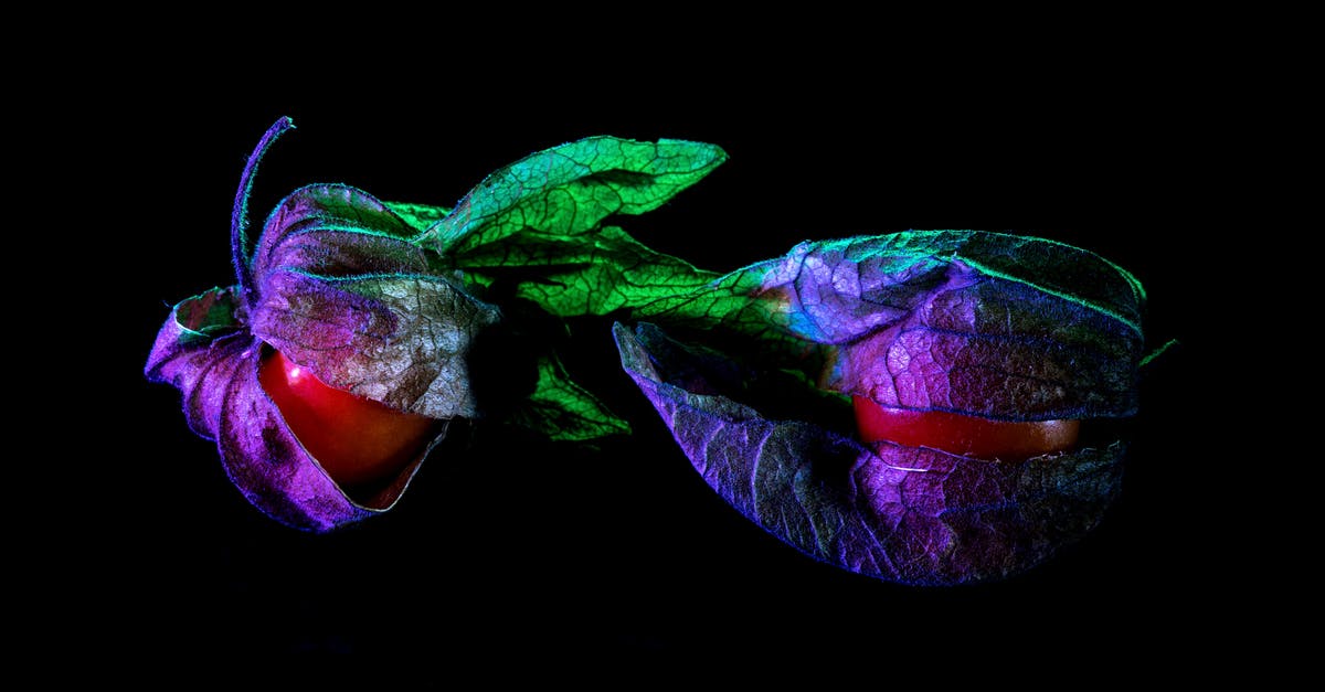 Can a convection microwave be used to dry fruit - Physalis with dry leaves in neon light