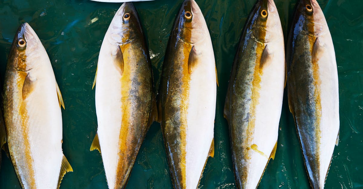 Can a fish living in fresh water be called seafood? - From above of fresh raw fish placed on wet green surface in daytime