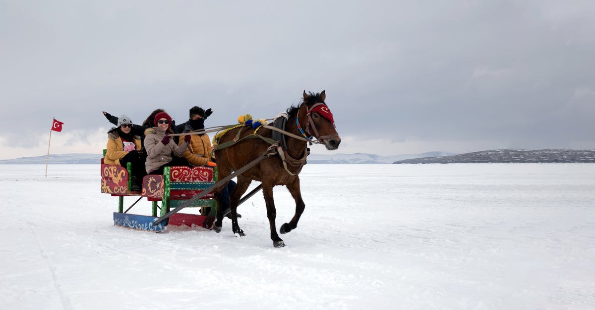 Can a frozen turkey be "fresh"? [duplicate] - People Riding on Horse on Snow Covered Ground