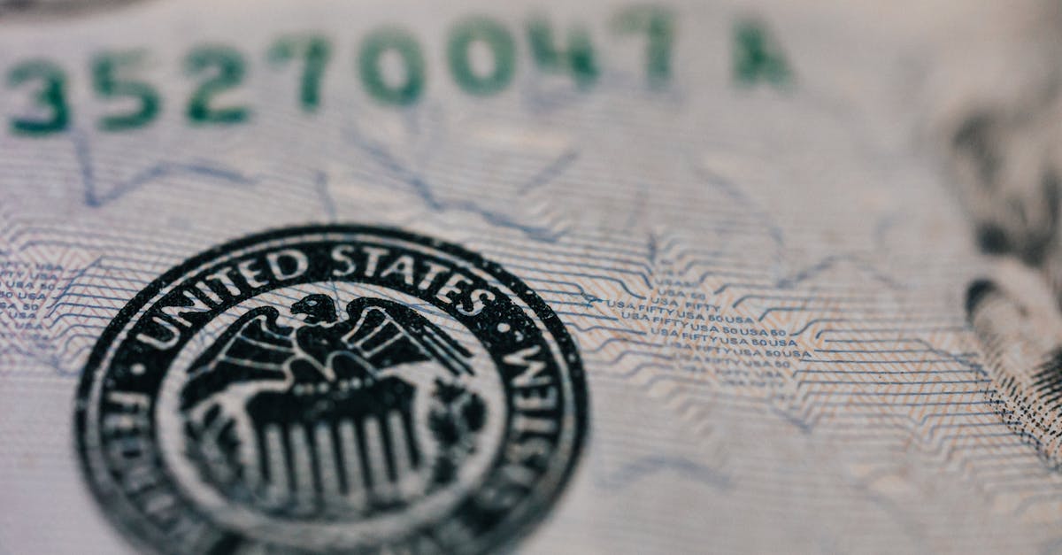 Can a large number of eggs be scrambled in a pot? - From above closeup of national symbol of USA paper money representing official seal with eagle with olive oil and arrow sitting on shield