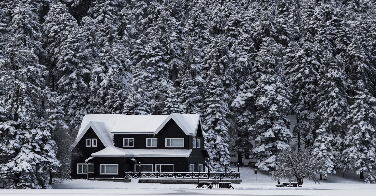 Can any custard be made into a frozen custard? - Snowy House Grayscale Photo