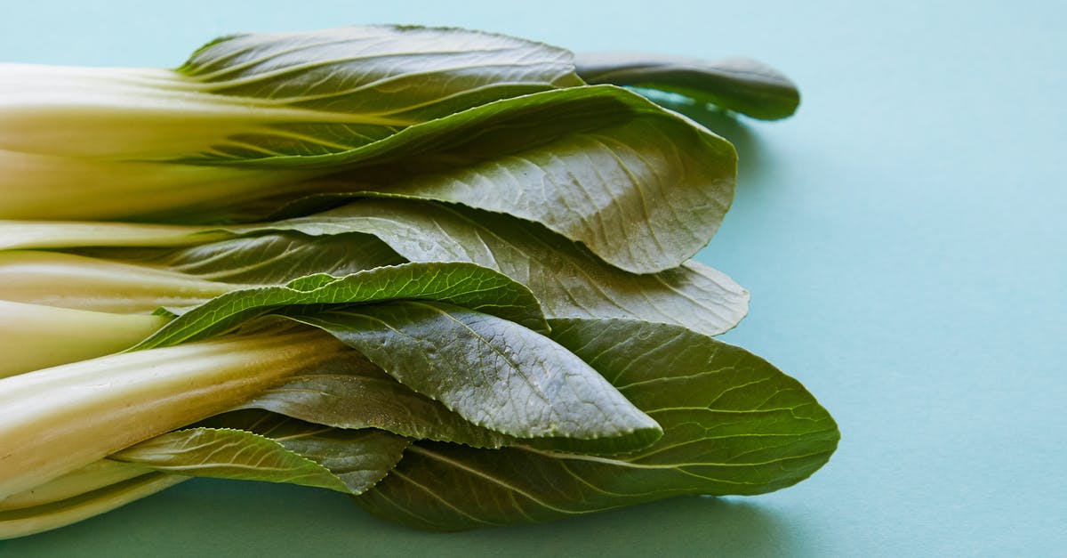 Can cabbage leaf (stalk leaf not the outer leaf) be eaten? - Top view of fresh pok choi with ripe verdant leaves on thick stems on blue background