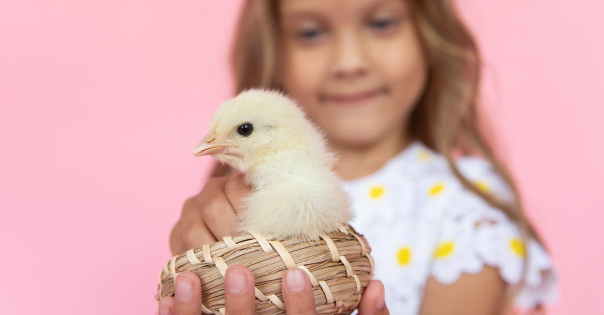 Can defrosting chicken make it slimy? - Woman in Yellow and White Floral Shirt Holding Brown and White Chick