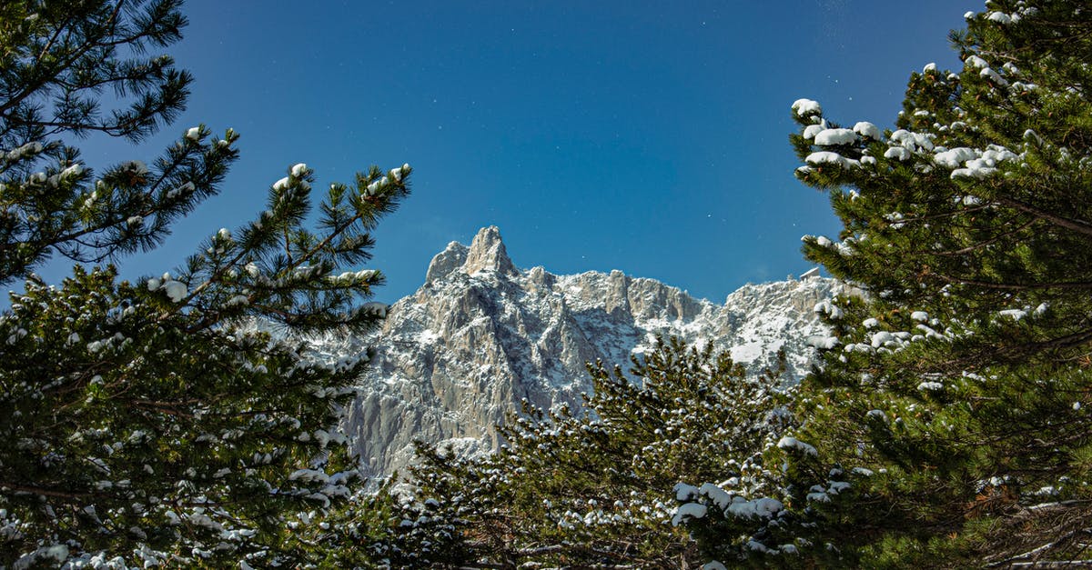 Can fondant be frozen before covering the cake? - Green Trees Covering the Mountain View 