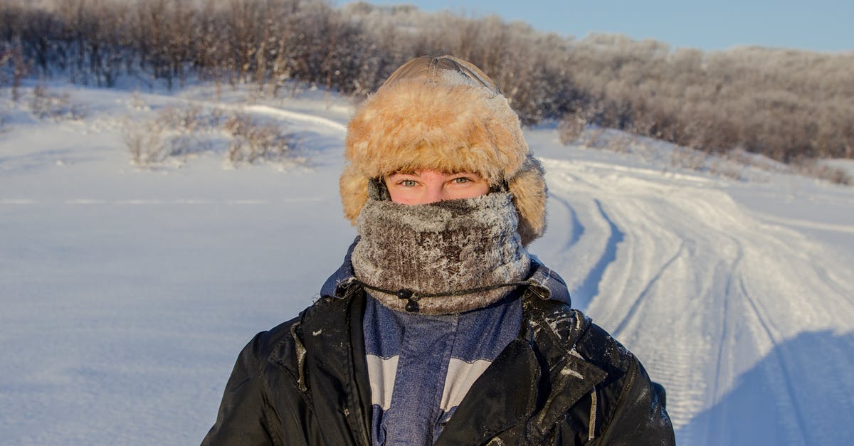 Can fondant be frozen before covering the cake? - Person in Black Jacket Wearing Fur Hat