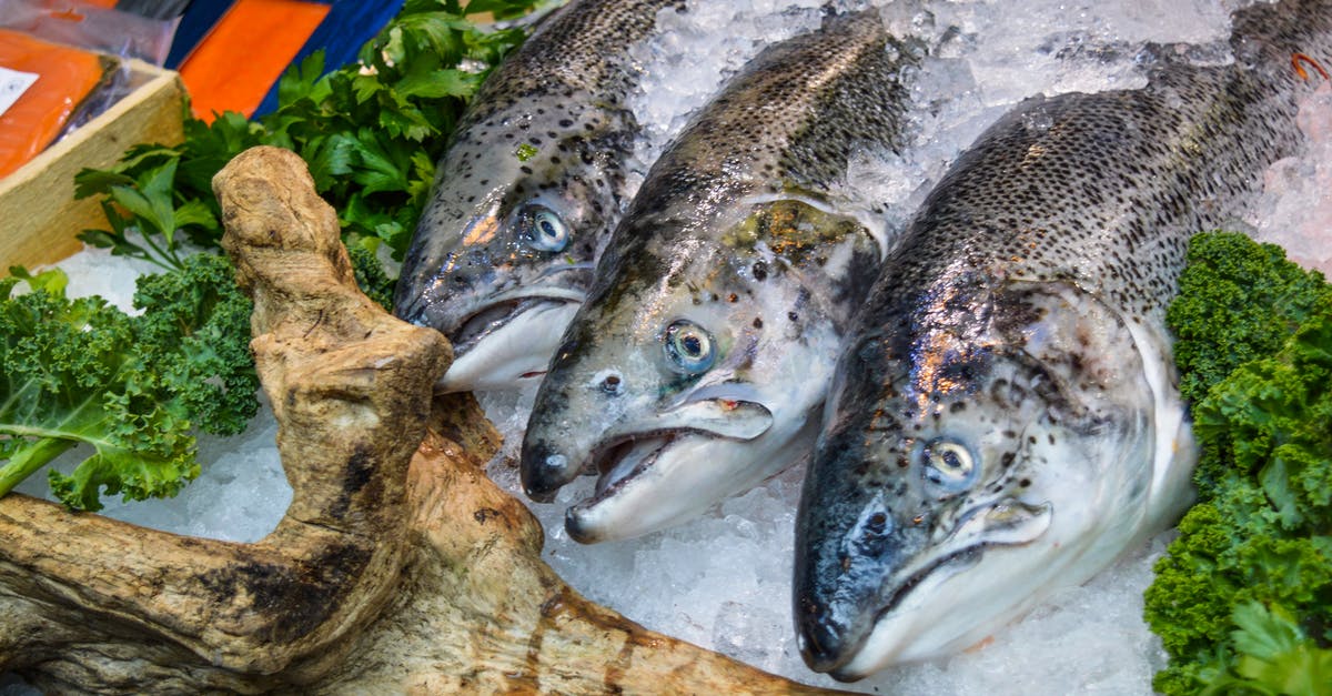 Can frozen raw meat be defrosted and frozen again [duplicate] - From above of assorted uncooked fish lying among leaves on stall in fridge