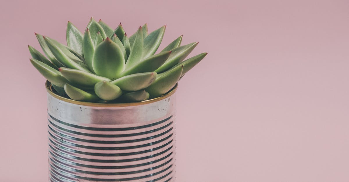 Can I bring sausages on a plane? [closed] - Photo of a Succulent Plant 