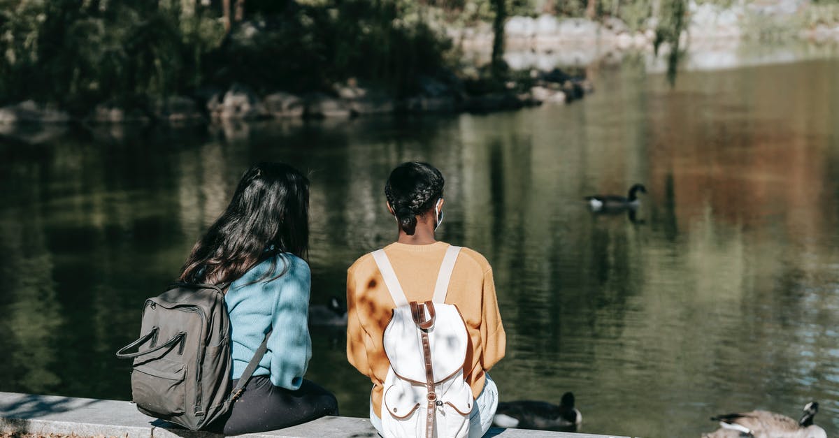 Can I cook duck breast a day before? - Back view of young female friends in casual wear and backpack sitting near calm lake with ducks in sunny day