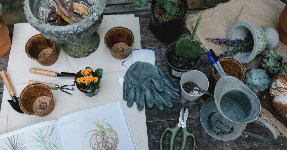 Can I learn to cook from a book? - From above of shovel hoe and rake for gardening placed near pots and succulents with opened book