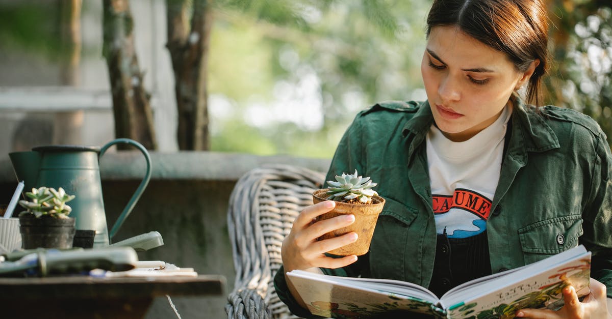 Can I learn to like wine? - Attentive young female grower with succulent plant in pot reading textbook while sitting in wicker armchair in garden