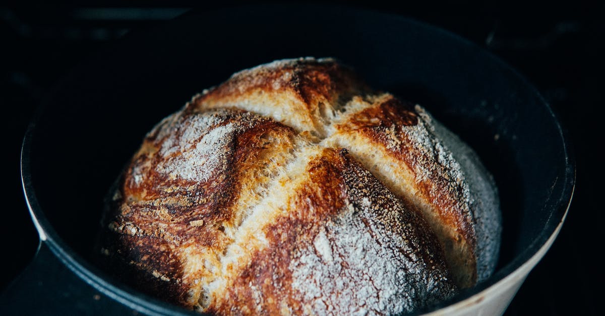 Can I let my bread dough rise in the mixer bowl? - From above of baked homemade crispy bread in baking dish prepared in oven