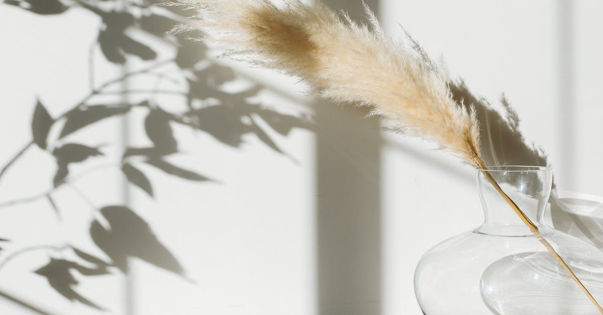 Can I (or should I) re-roughen the interior of a ceramic mortar? - Dried pampas grass in glass vase placed on table against white wall with shadows
