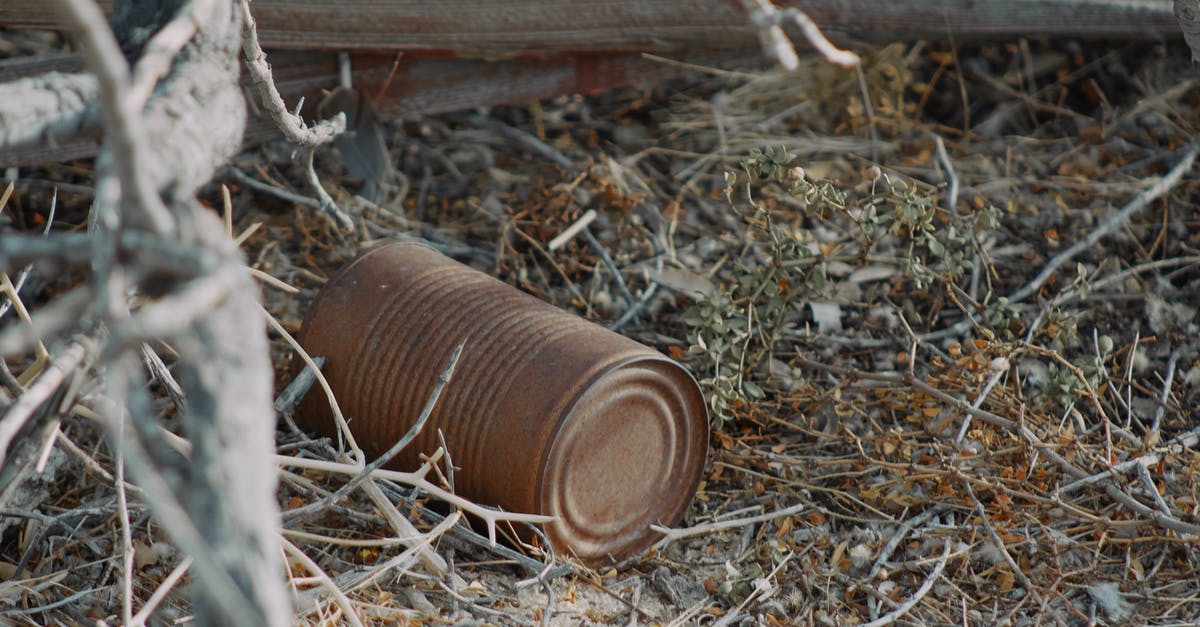 Can I re-cook a ham that was left out overnight? - A Rusty Can on the Dry Grass Ground