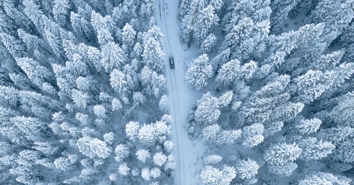 Can I remove frost from frozen chicken breasts and re-package? - Aerial Photography of Pine Trees Covered With Snow