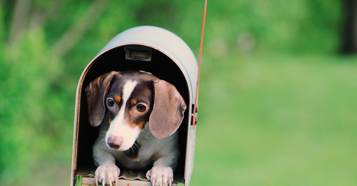 Can I selectively breed my sourdough starter? - Photo of Dog Inside Mailbox