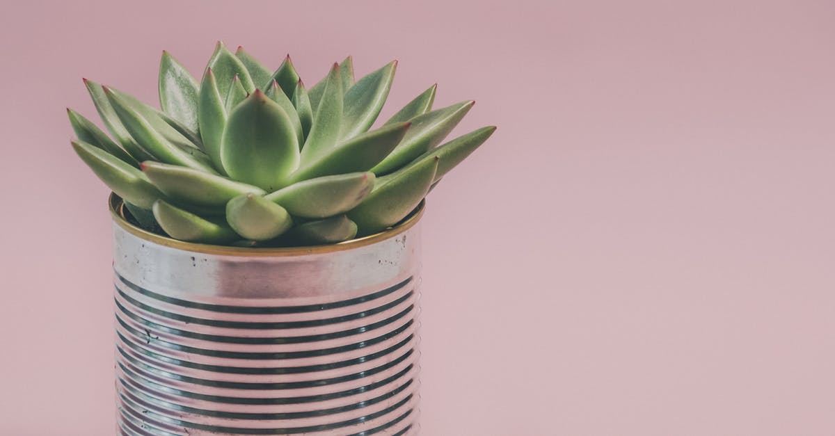 Can I still use my Worcestershire sauce? - Photo of a Succulent Plant 