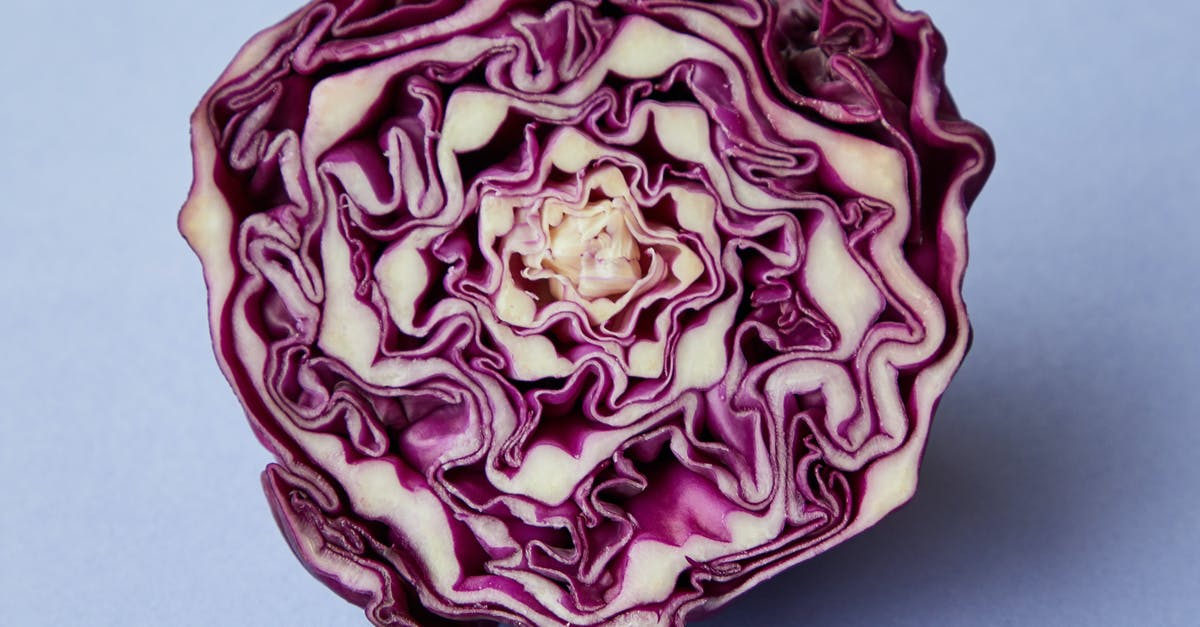 Can I successfully freeze raw cabbage? - From above of half of purple raw fresh juicy cabbage on blue background