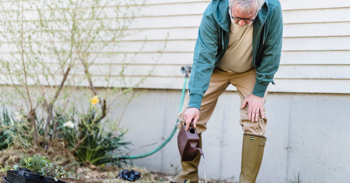 Can I use green cardamomm pods and ground cardamom interchangeably? - Senior male farmer in gumboots standing with can and watering green sprouts against wall