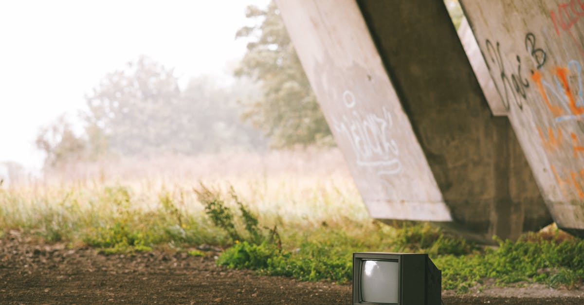 Can I use green cardamomm pods and ground cardamom interchangeably? - Small black old fashioned television placed on ground near concrete construction with graffiti and grassy terrain with trees on foggy background