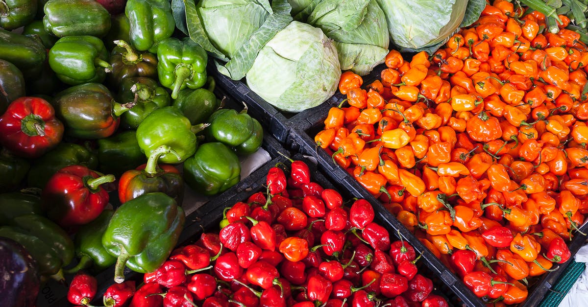 can I use regular green cabbage to make kimchi? - Assorted Vegetable Store Displays