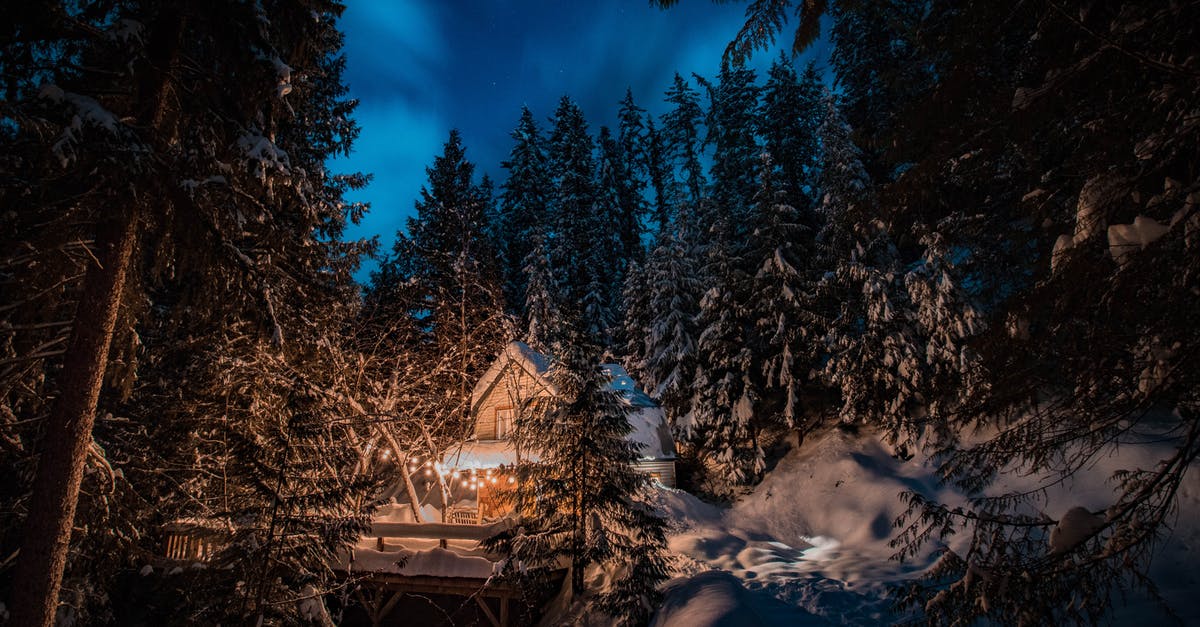 Can nuts be frozen and for how long? - View Of Icy Pine Trees and Barn House At Night 