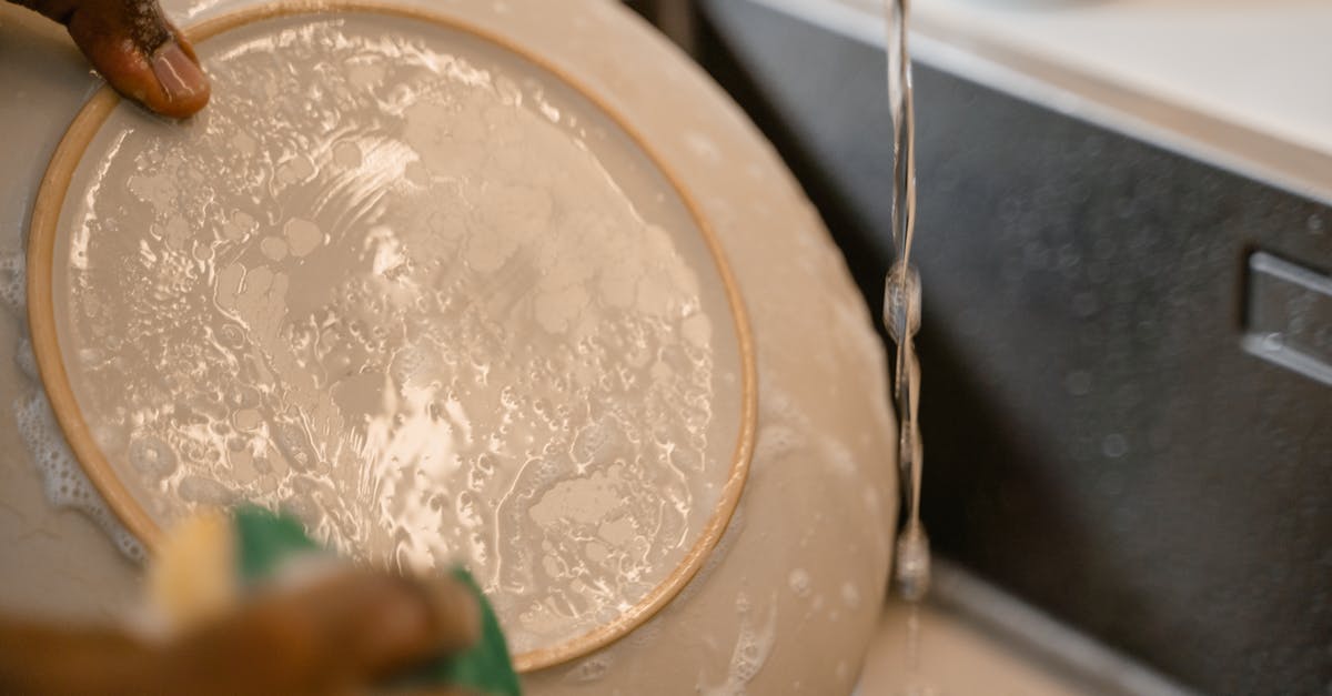 Can some dishes be washed with only water? - A Person Washing a Ceramic Plate